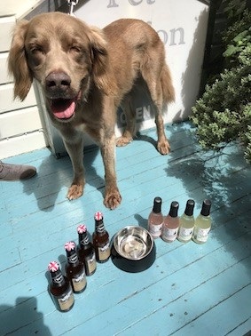 Pawsecco – London’s first dedicated doggy bar image