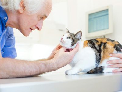Roehampton Veterinary Clinic image
