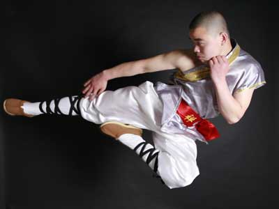 Tang Long Shaolin Kung Fu and Tai Chi image