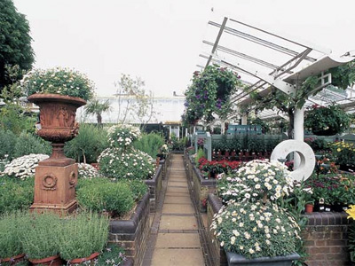 Clifton Nurseries image