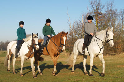 Wimbledon Village Stables image