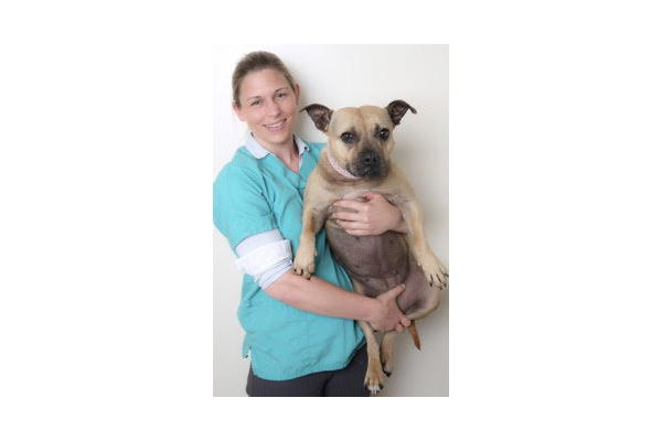 Dr Elise Watson MRCVS, Veterinary S
