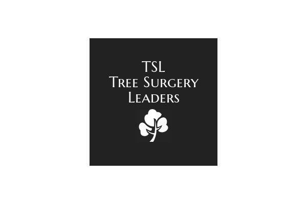 Tree Surgery London