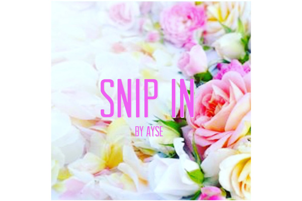 Snip'in image