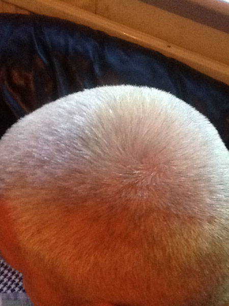 Palushi's Gents Hairdresser image