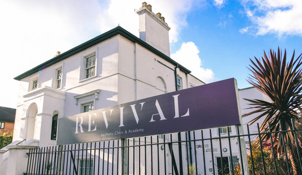 Revival Aesthetics image