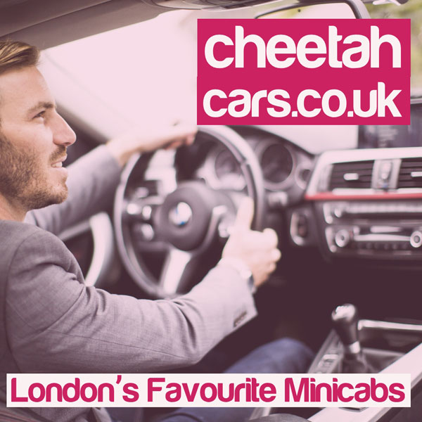 Cheetah Cars image
