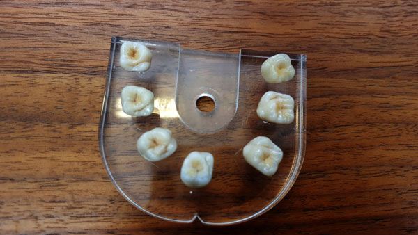 MSK Dental Lab image