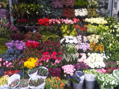 The Flower Stand image