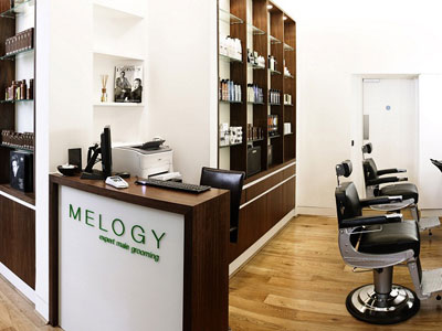 Melogy image