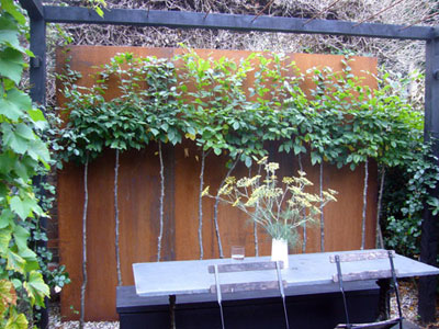 Corten Steel Wall showing orange co