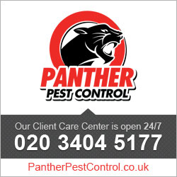 Panther Pest Control image