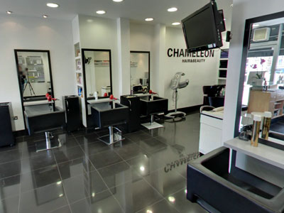 Chameleon image