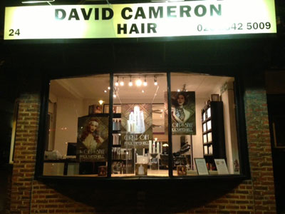 David Cameron Hair image