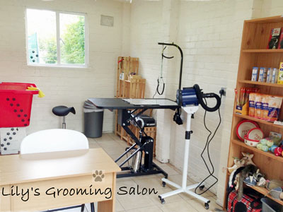 Lily's Grooming Salon image