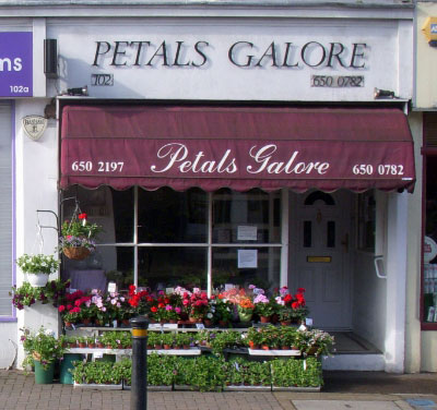 Petals Galore image