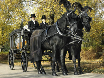 Horse drawn hearse