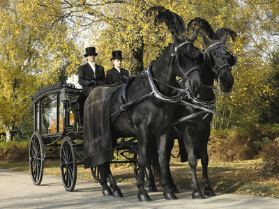 Horse drawn hearse