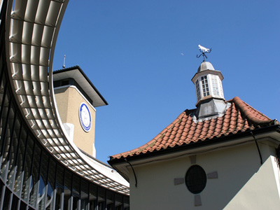 Battersea Dogs & Cats Home Picture