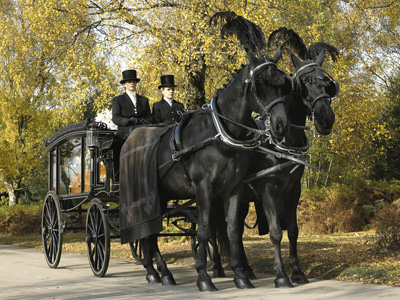 Horse drawn hearse