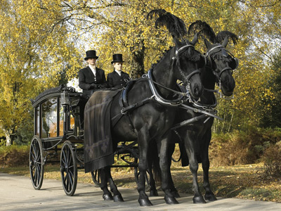 Horse drawn hearse