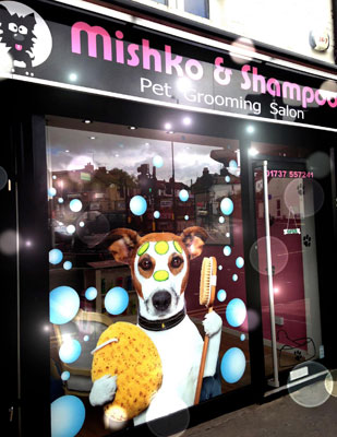 Mishko & Shampoo image