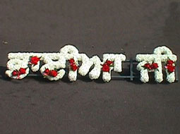 Cremation