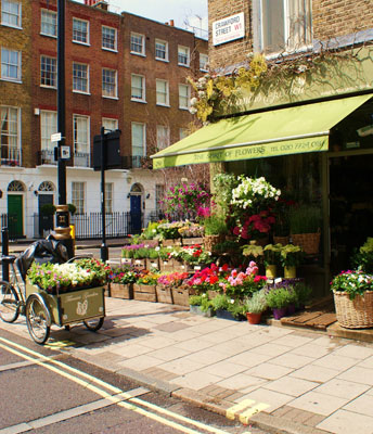 Titania's Garden image