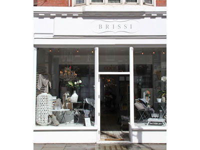 Brissi image