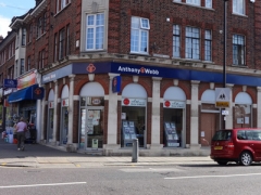 Anthony Webb image