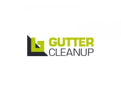 Gutter Cleanup image
