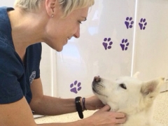 Norbury Pet Health Centre image
