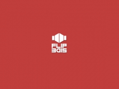 Flipside image