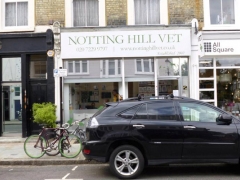 Notting Hill Vet image