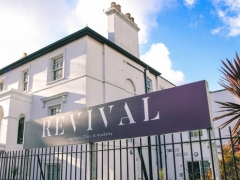 Revival Aesthetics image