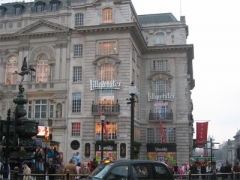 Lillywhites image