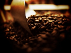 Algerian Coffee Stores image