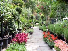 World's End Nurseries image