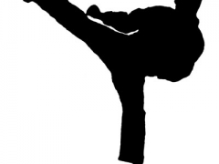 FSKA London Karate Club image