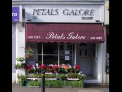 Petals Galore image