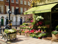Titania's Garden image