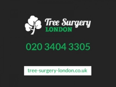 TSL Tree Surgery Leaders image