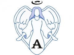 Edmonton Angel Cars image