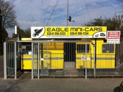 Eagle Mini Cars image