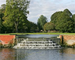 Bushy Park image