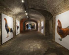 The Crypt Gallery image