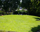 St Martin's Gardens image