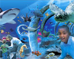 Sealife London Aquarium image