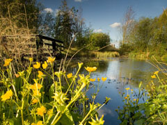 London Wetland Centre Picture