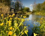 London Wetland Centre image